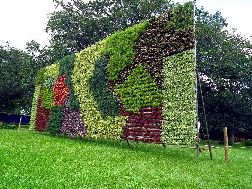 Vilniaus Laipiojimo Centras VERTICAL: Viskas, Ką Reikia Žinoti