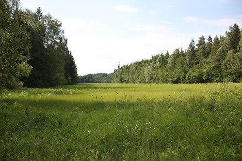 Žemynai: Pasaulio Kontinentų Įvairovė ir Ypatybės